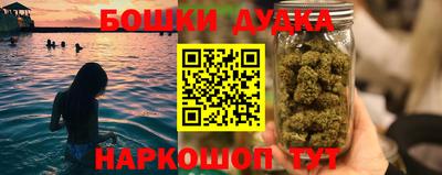 сатива Бузулук