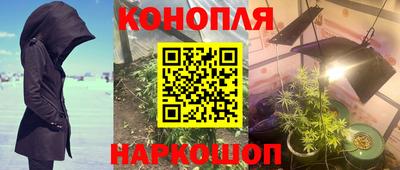 сатива Бузулук