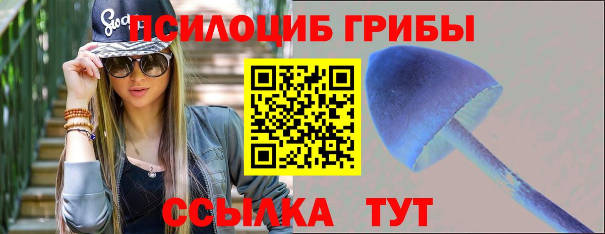 закладка  Вход с VPN  Георгиевск  Псилоцибиновые грибы Magic Shrooms 